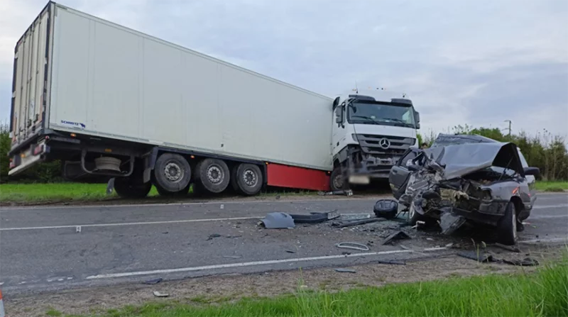 Двое детей погибли в ДТП. Бобруйчанина нашли с применением служебной собаки