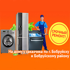 Змитрович (ИП). Ремонт бытовой техники