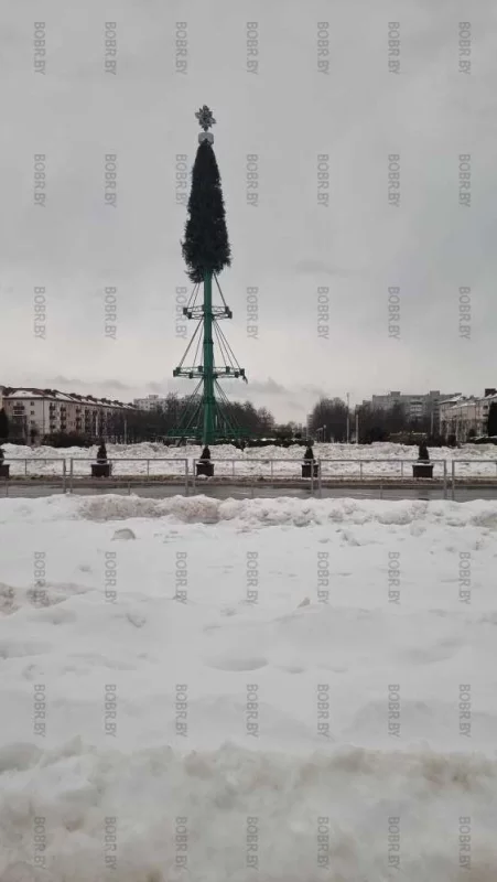 Ёлочку раздевают.