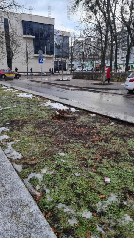 Дерево срубили , новое не посадили . А когда-то бобруйск был зеленым городом .
