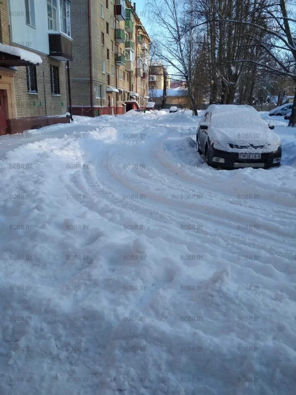 БРСМ Ваш выход! Даёшь лопаты!