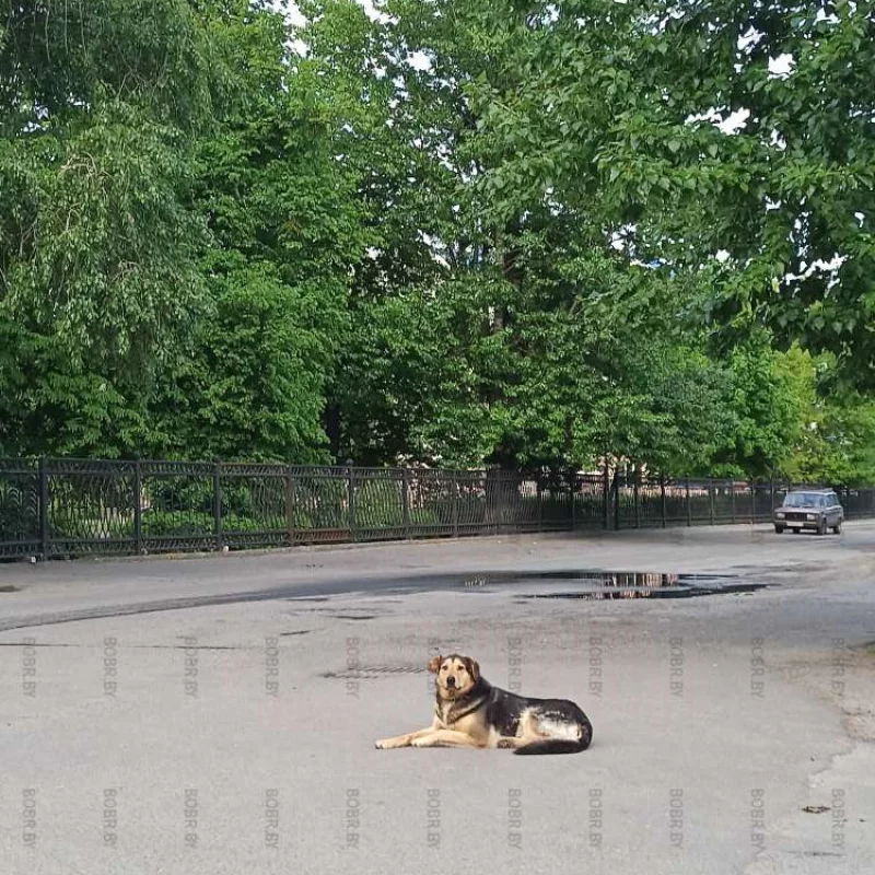 Стаж улиц