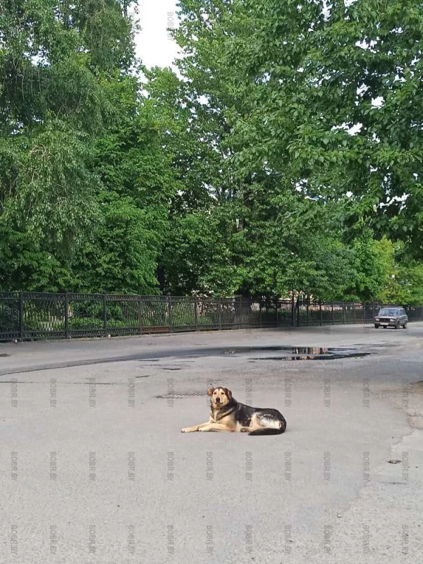 Стаж улиц