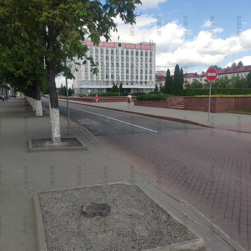 Деревья оставалось на 3 дня. Зеленхоз даже не нашёл саженцы деревьев посадить на центральной площади возле горисполкома.