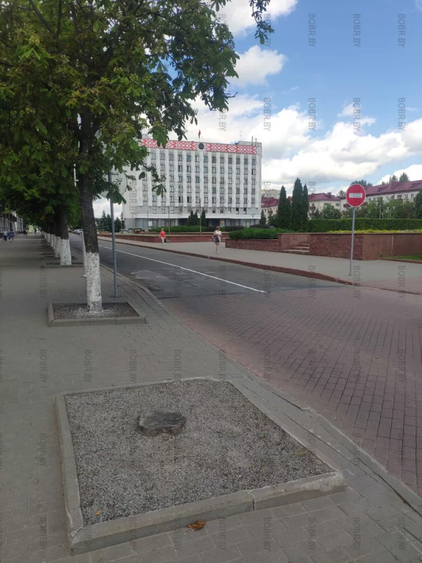 Деревья оставалось на 3 дня. Зеленхоз даже не нашёл саженцы деревьев посадить на центральной площади возле горисполкома.