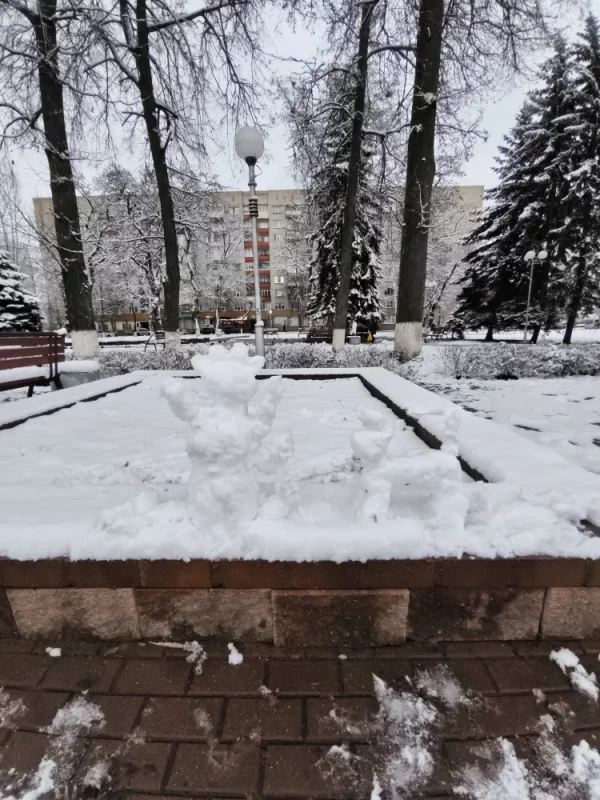 Снежная пора