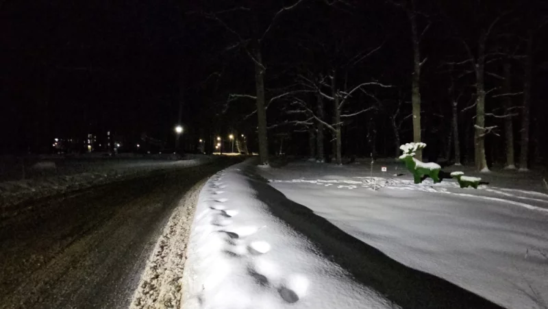 Новые малые формы возле санатория  "Шинник"