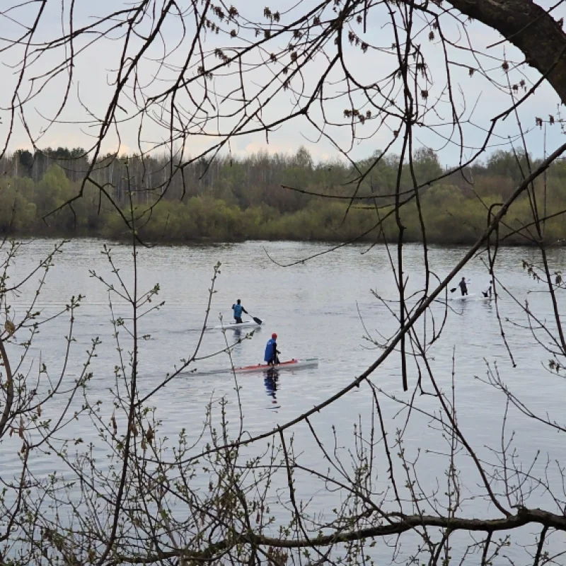 Школа гребли тренируется на березине
