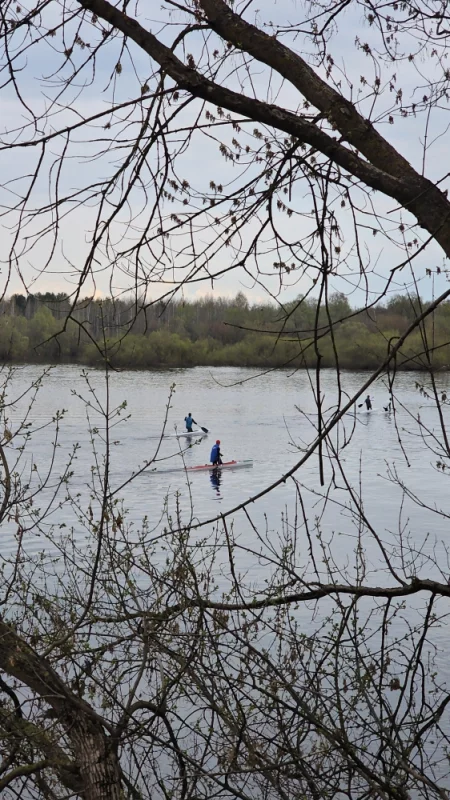 Школа гребли тренируется на березине