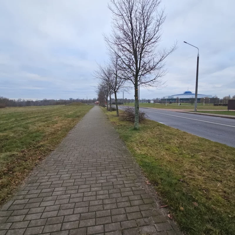 Наконец-то подрезали ветки, которые нависали над тротуаром