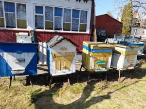 Продим Ульи