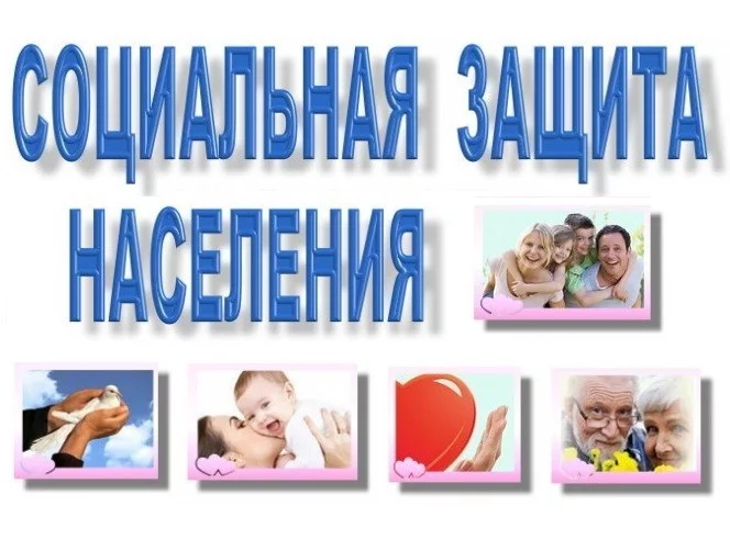 &quot;Прямая линия&quot; по социальным услугам