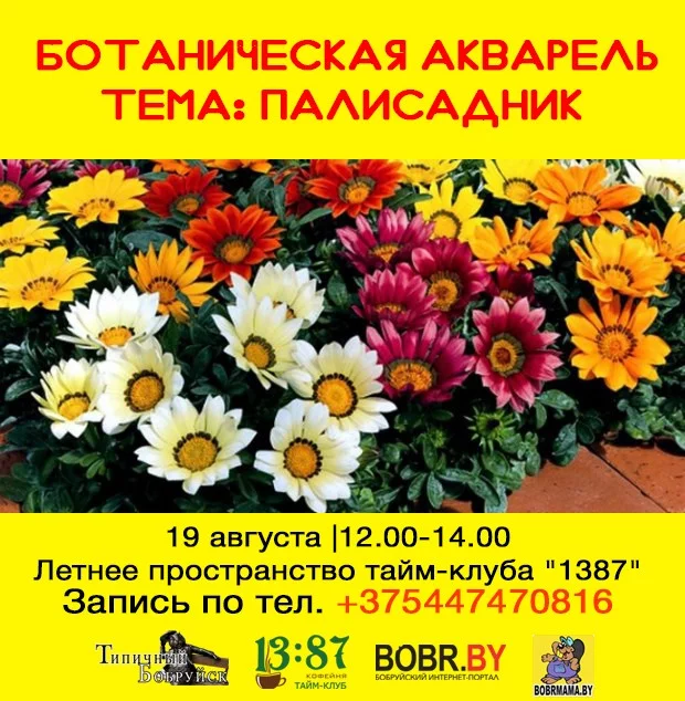 Ботаническая акварель: рисуем цветы из палисадника