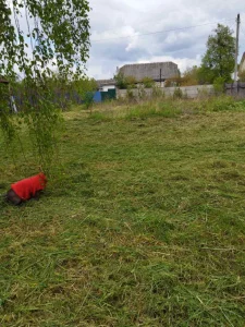 Участок в черте города