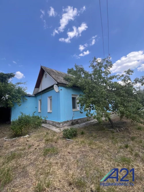 Большой дом по пер. Механизаторов