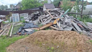 Дрова даром