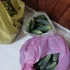 Огурцы грунтовые