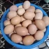 Продам куриные яйца