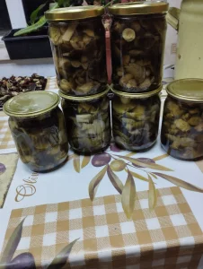 Грибы зелёнки