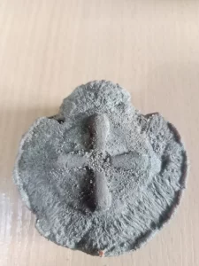 Окончание ручки кинжала