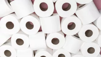 В Беларуси предлагают ограничить импорт туалетной бумаги и спичек. Зачем?