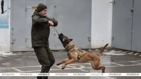 Здесь человек и собака понимают друг друга 'с первого взгляда'. Как несут службу кинологи в Бобруйском отделе Департамента охраны