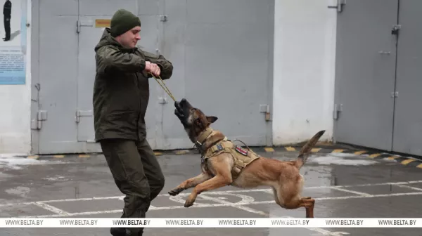 Здесь человек и собака понимают друг друга "с первого взгляда". Как несут службу кинологи в Бобруйском отделе Департамента охраны