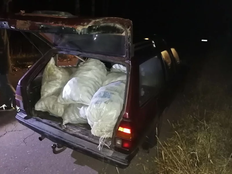 Житель Бобруйского района похитил полтонны картофеля