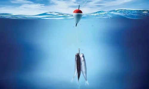 Рыбалка и ловля рыбы: секреты успешной рыбалки