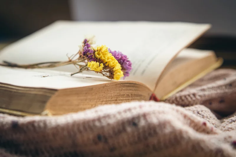 Что почитать осенью: 5 книг для пасмурных вечеров
