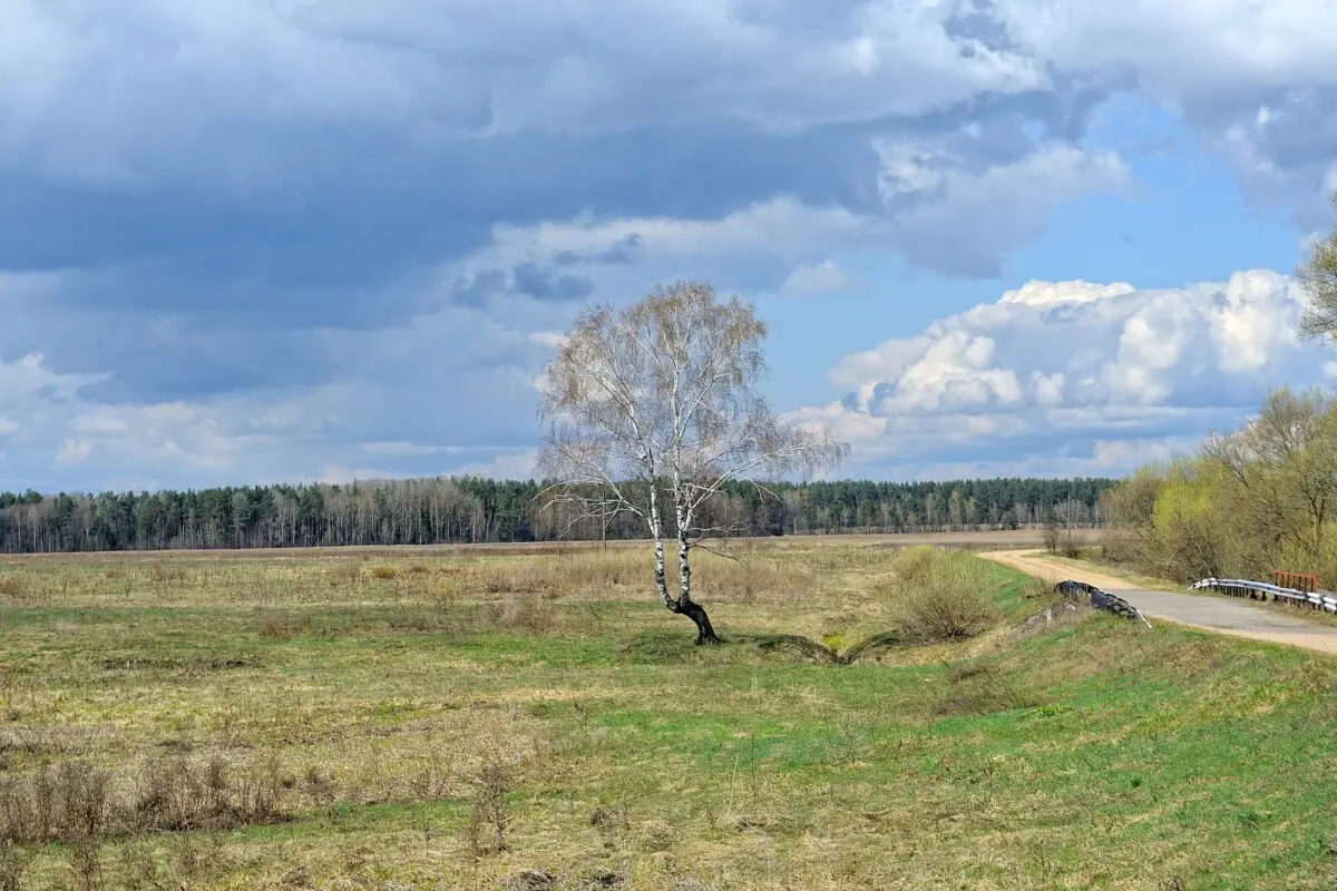 Погода на 14 апреля в Могилевской области