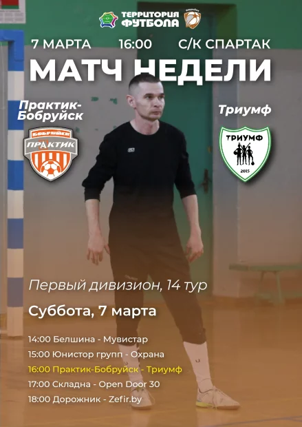 Бобруйская лига мини-футбола