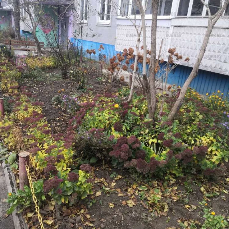 Красивый полисадник