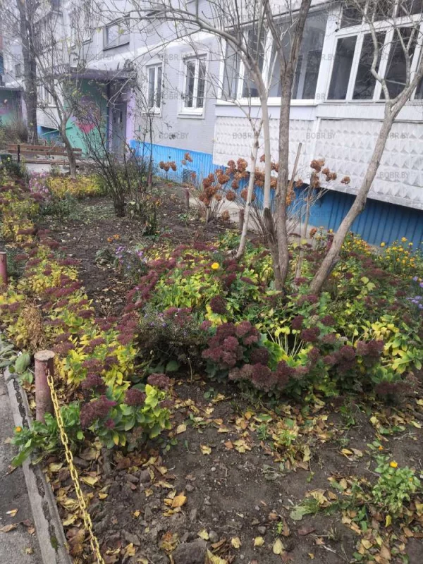 Красивый полисадник