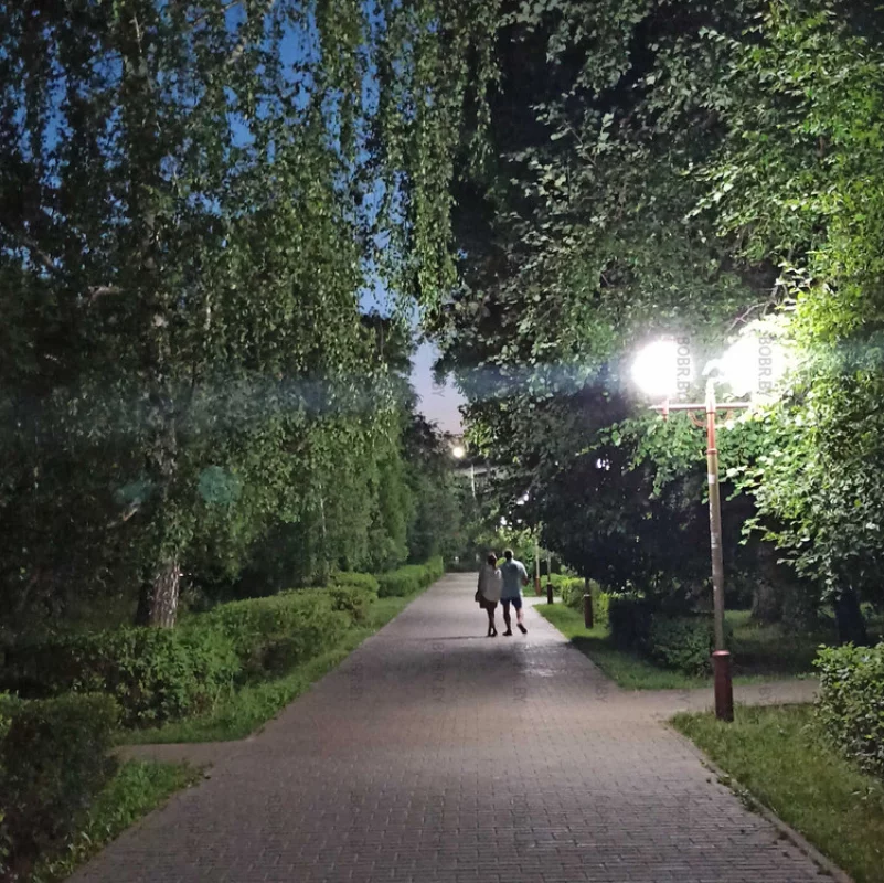 Парочки в сквере вечером