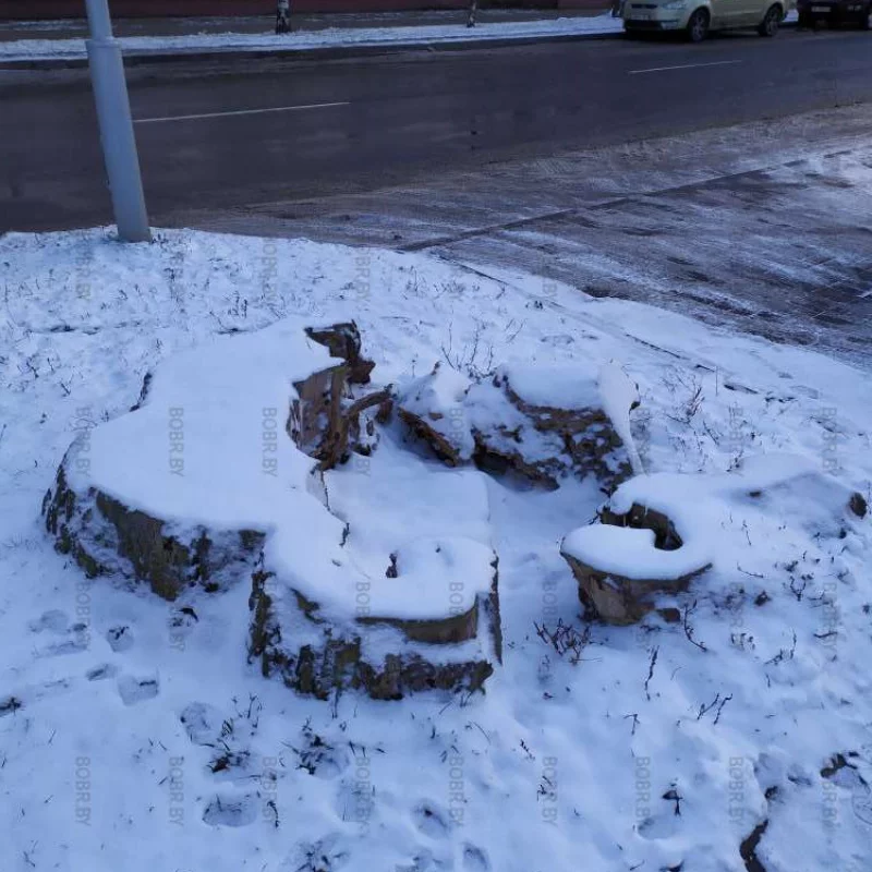 А была раньше жизнь