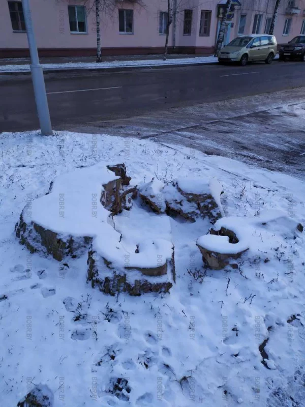 А была раньше жизнь