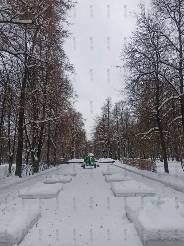 Тихая,безлюдная ,шикарная зима в парке
