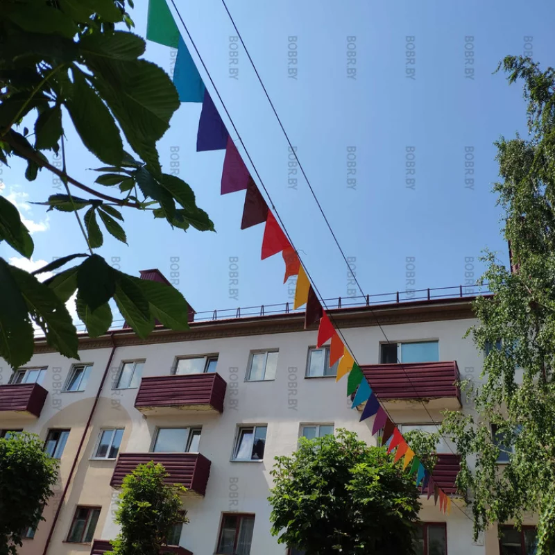 Кто-то видит цветные флажки, кто-то видит lgbt pride в Бобруйске.