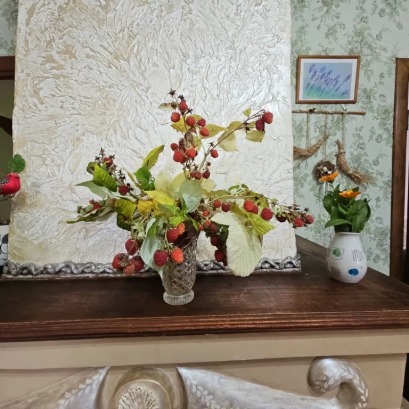 Последняя малина в середине ноября, убрана перед заморозками