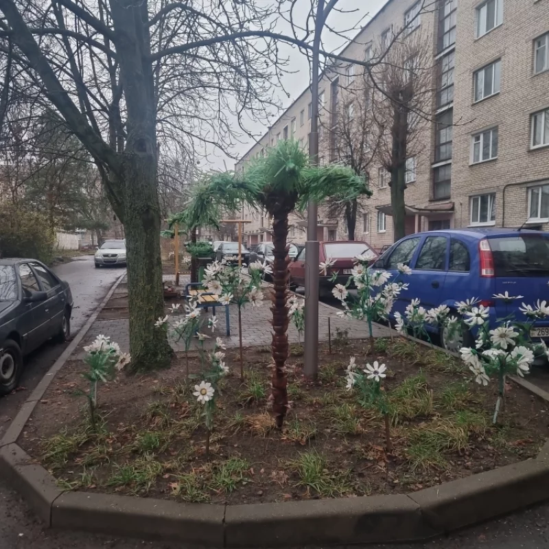 Когда любишь пальмы, но вынужден жить в Бобруйске.