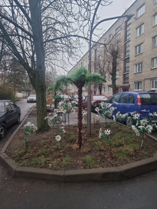 Когда любишь пальмы, но вынужден жить в Бобруйске.