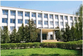 Заместитель директора по хозяйственной работе