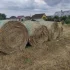 Сено
