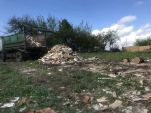 Дрова