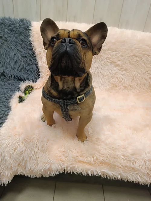 Нужна временная передержка