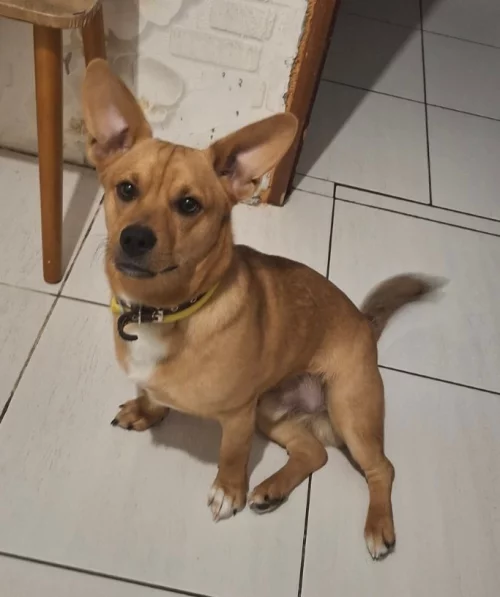 Поиск семьи