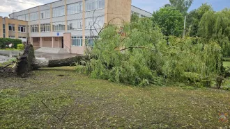На Бобруйщине спасатели ликвидировали последствия урагана