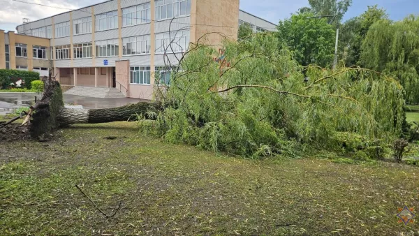 На Бобруйщине спасатели ликвидировали последствия урагана