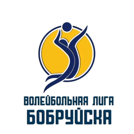 Чемпионат по Волейболу